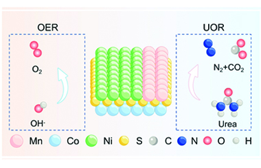Rational Design, electrochemical performance and theoretical calculations of rosette-like Co3S4/Ni9S8/MnS2/NF heterostructures for efficient OER and UOR 2026.101035